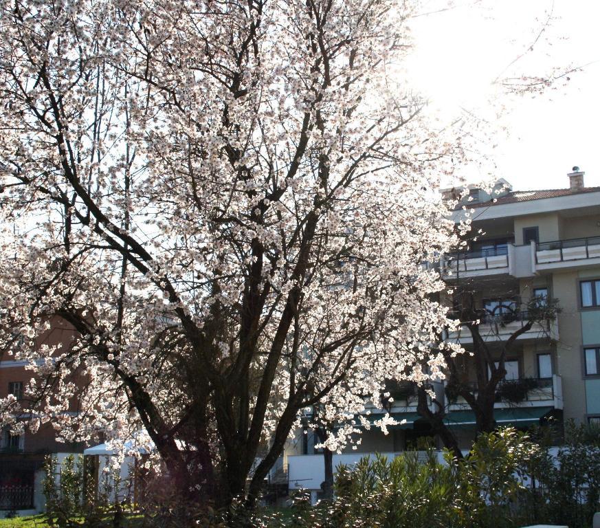 Ecohotel Roma Exteriér fotografie